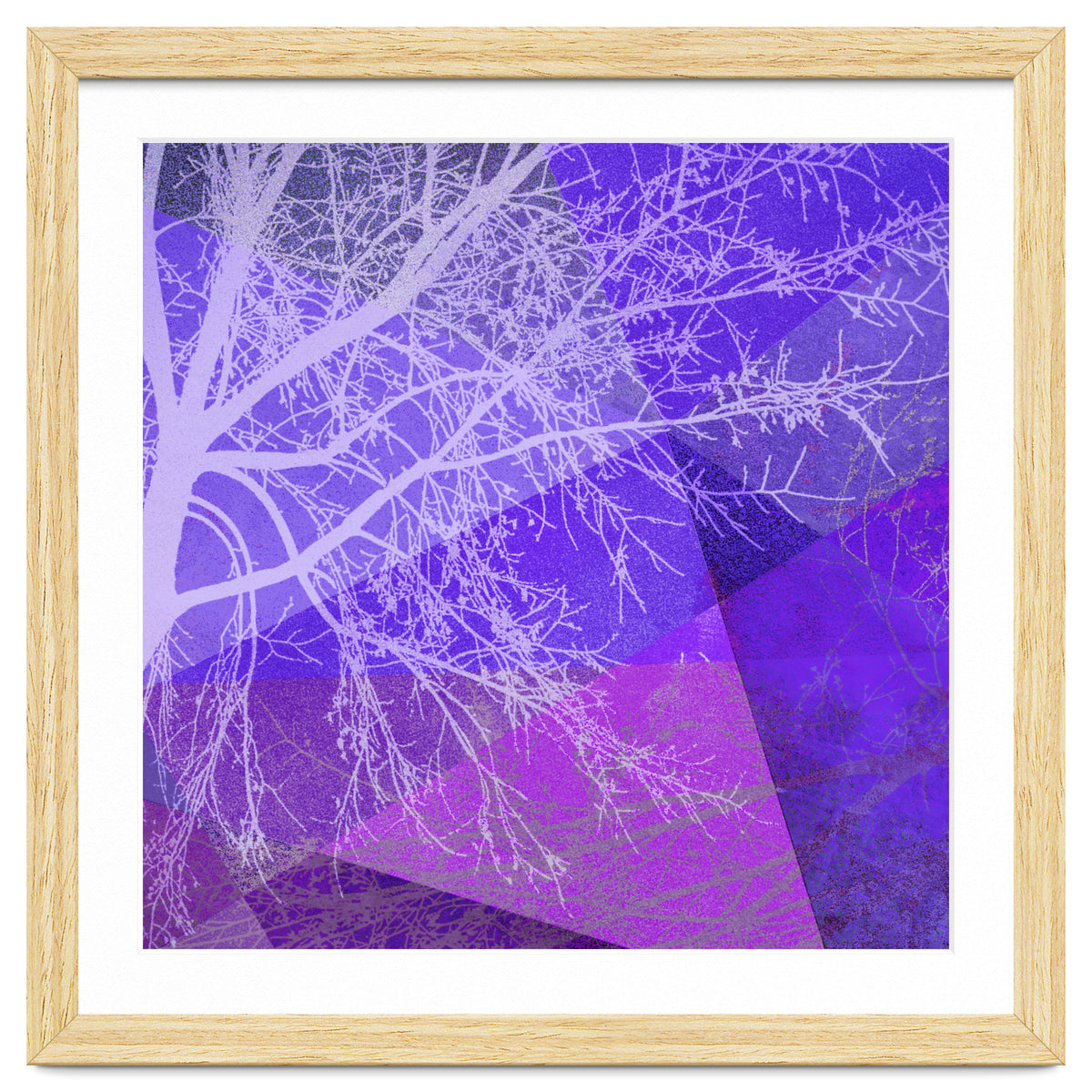 P19-D2 Trees and Triangles