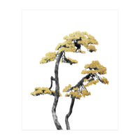 Bonsai Tree 06 (Print Only)