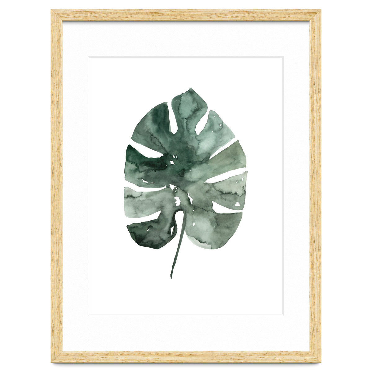 Botanical Illustration Monstera Leaf