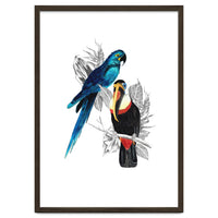 The Toucan and the Parrot