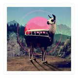 Llama (Print Only) thumbnail