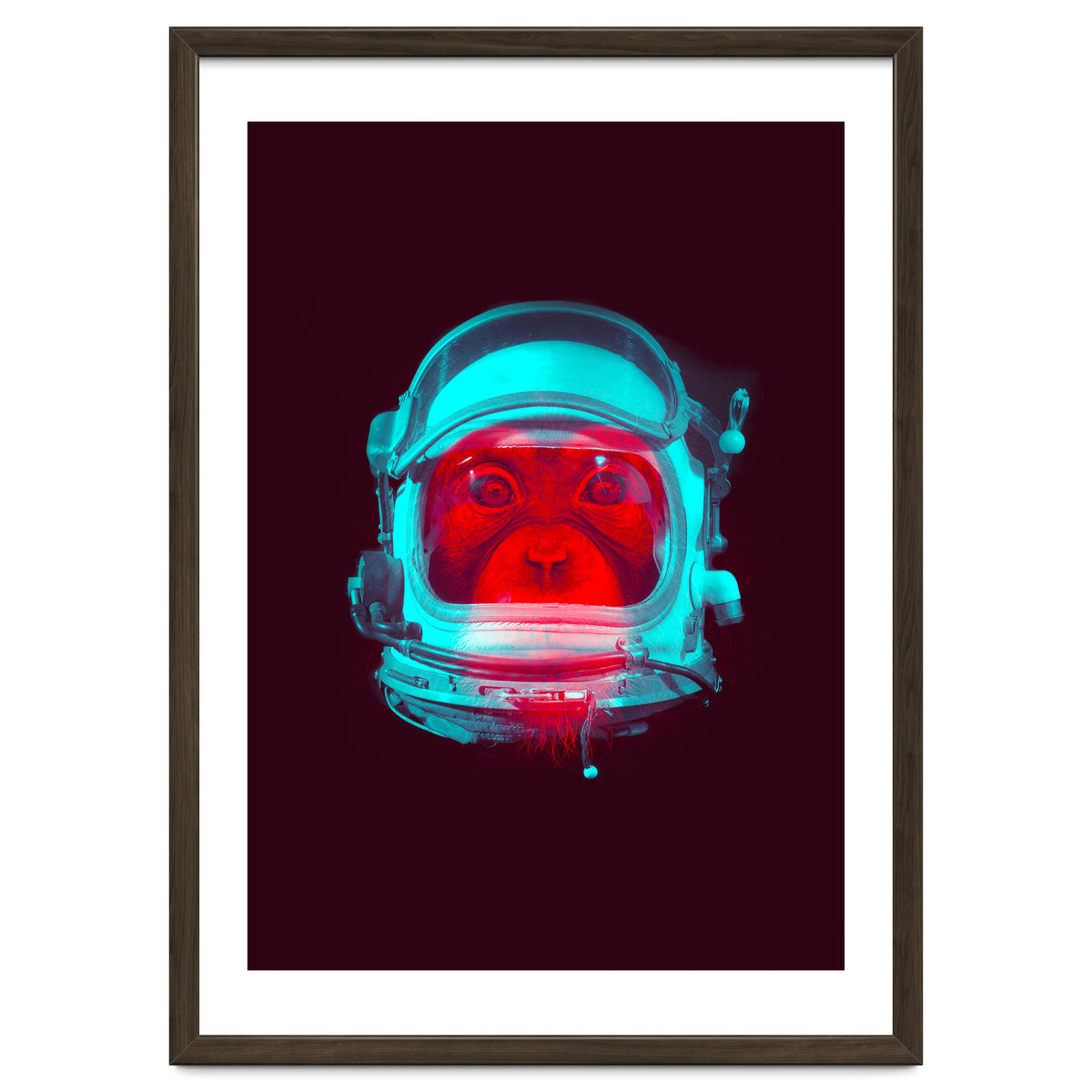 Astronaut