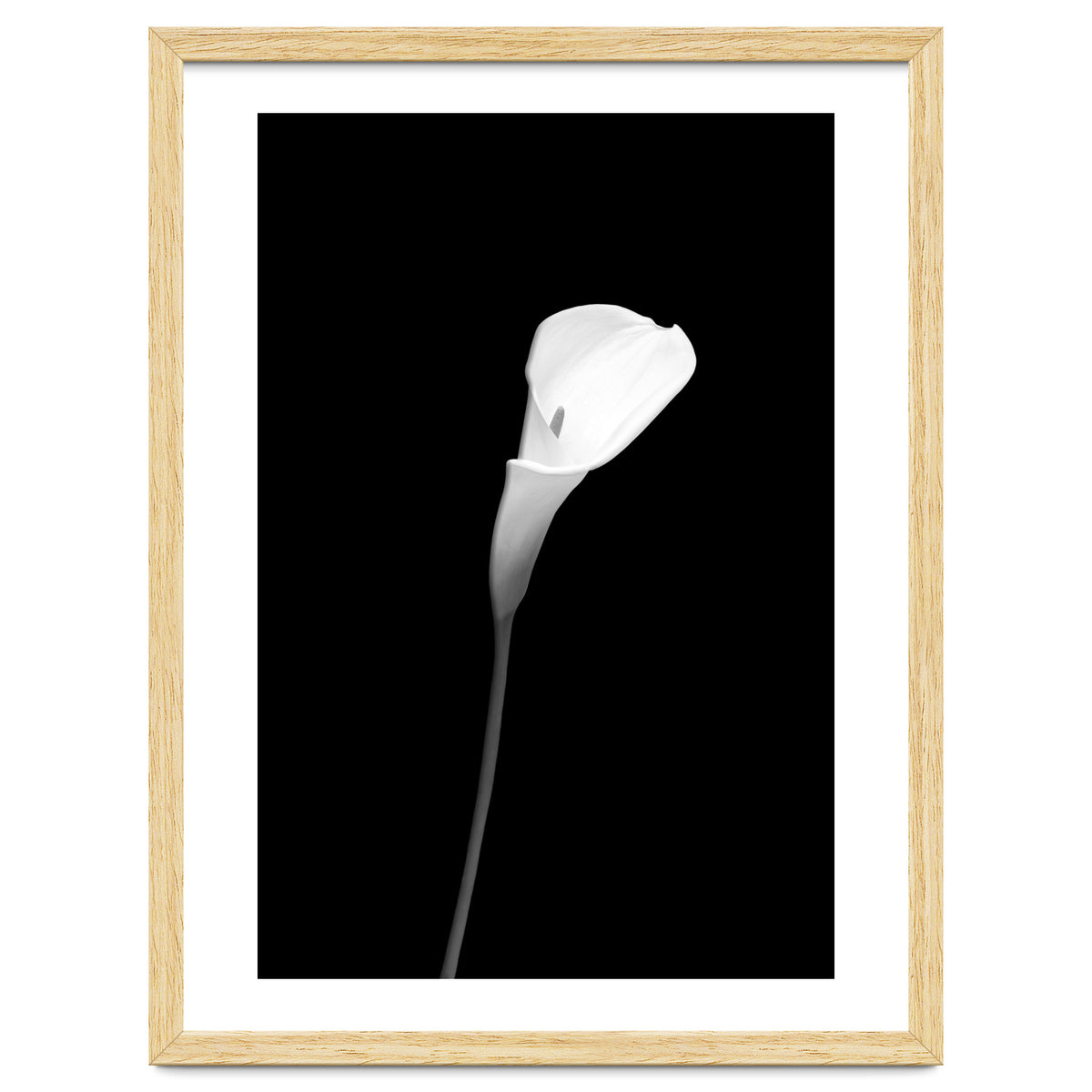 Calla | dark design