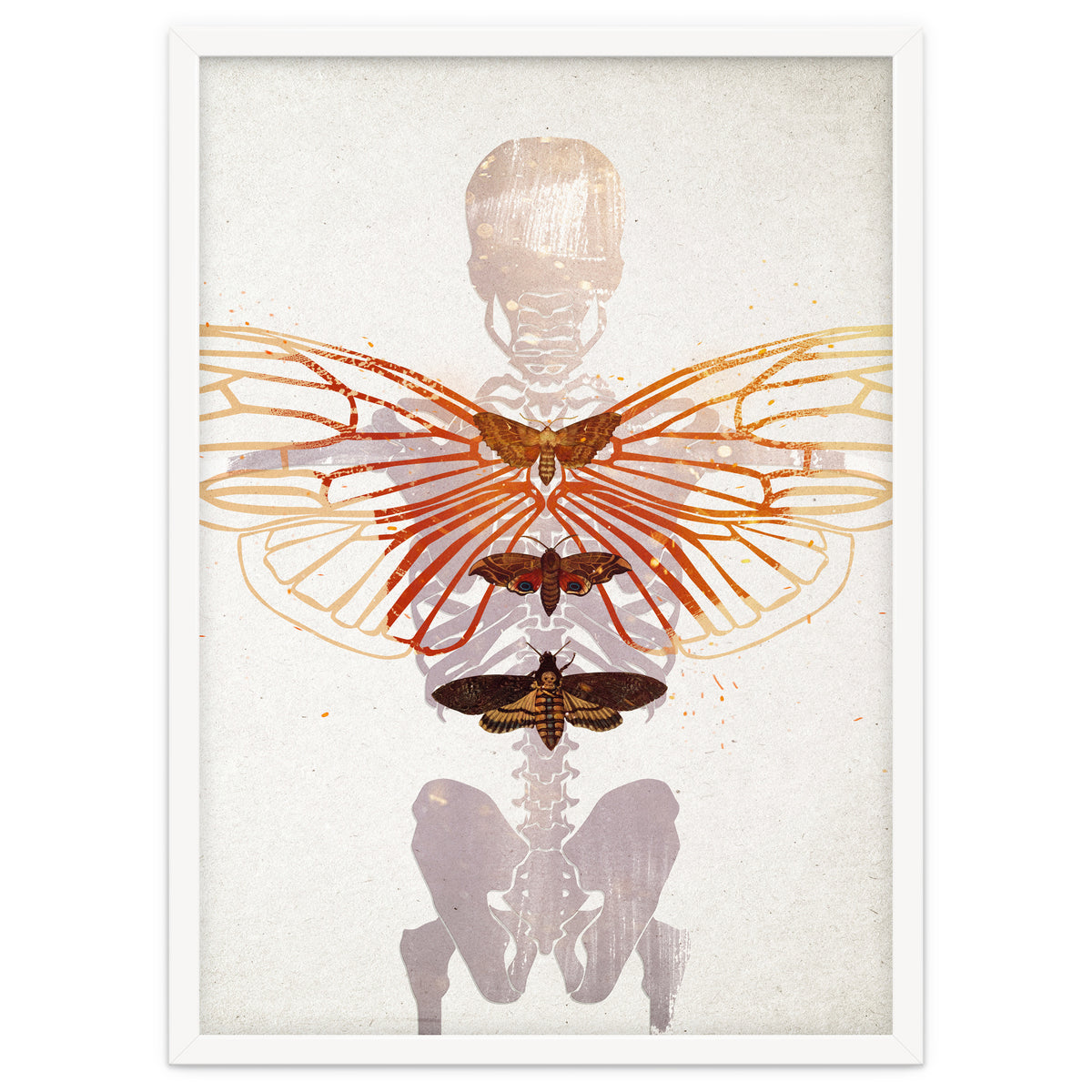 Ikarus - Like a Moth to the Flame