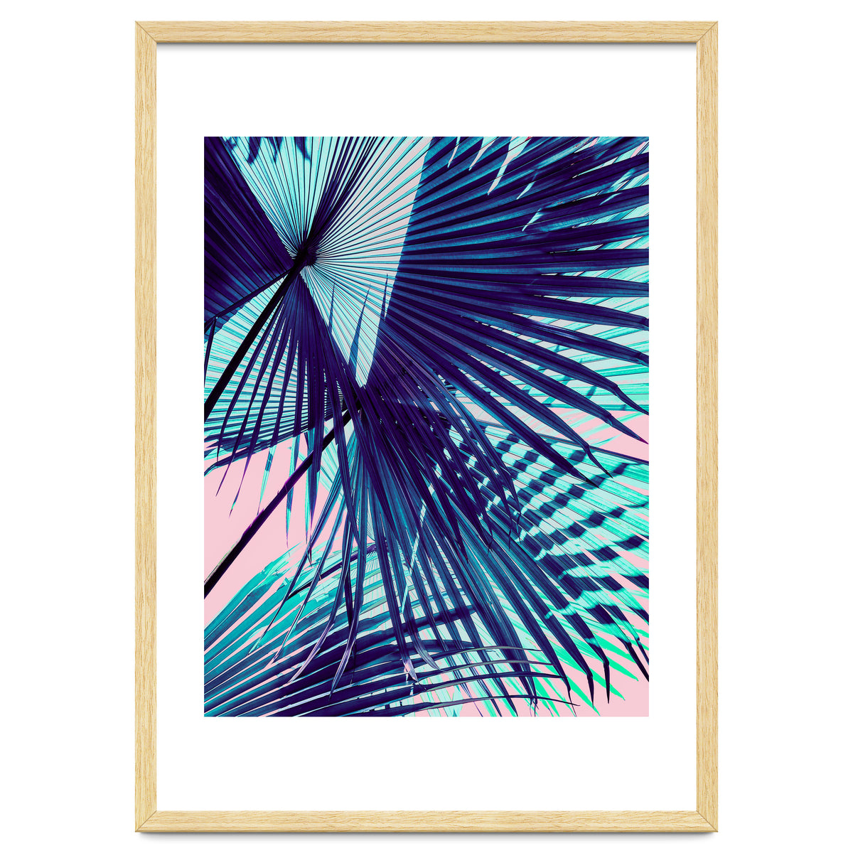 Palm leaf on the beach