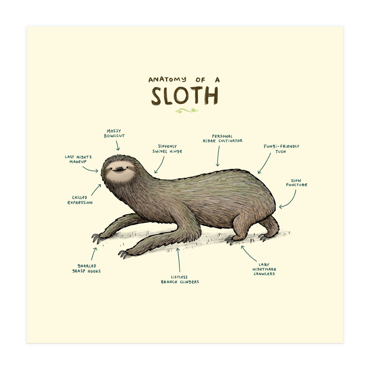 Anatomy Of A Sloth (Print Only)