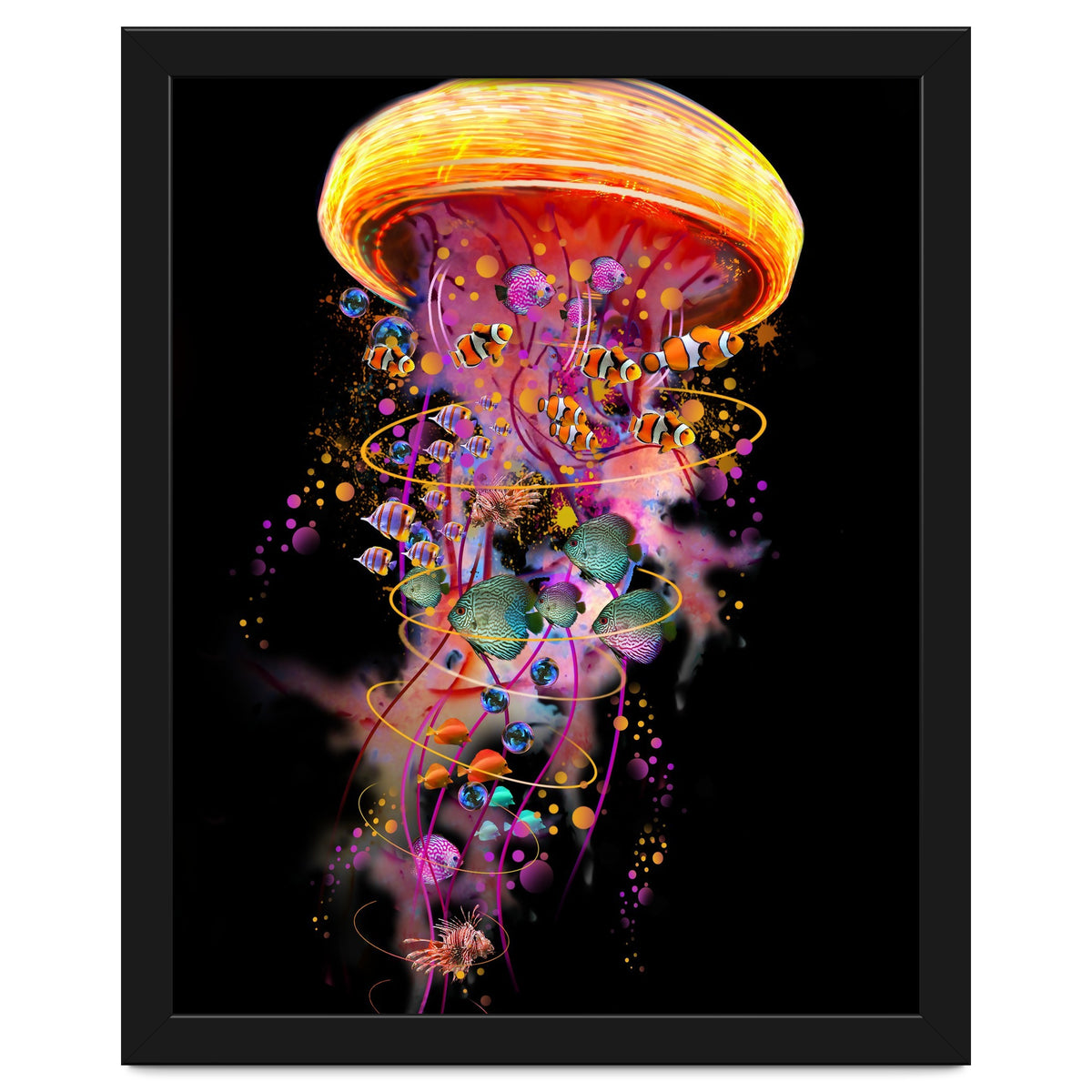 Jelly Fish Ride Summer2018 Dbh