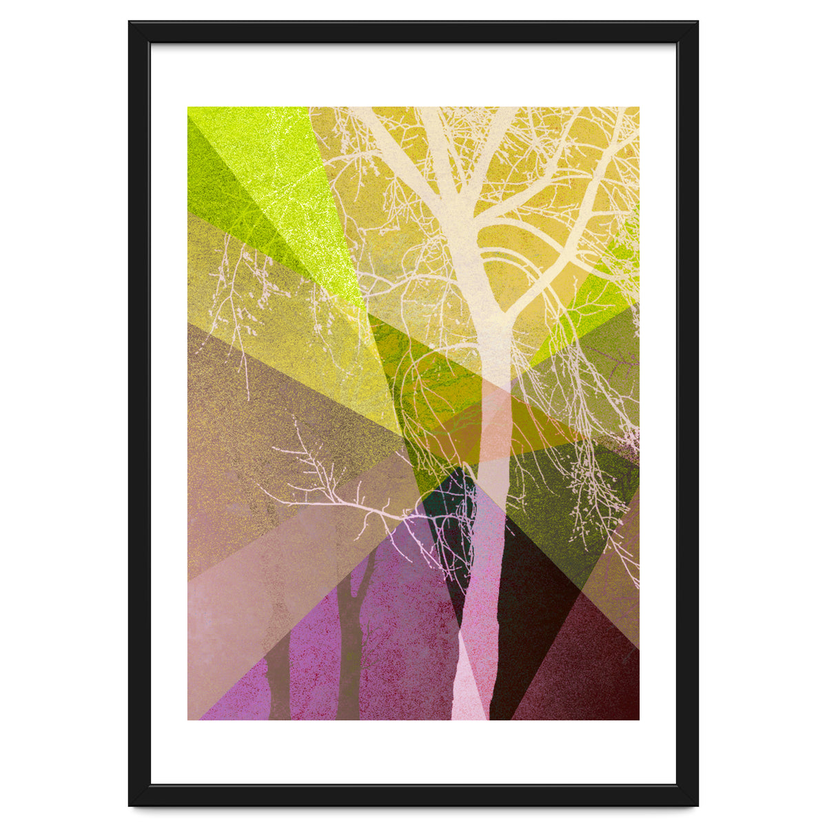 P22 A Trees And Triangles