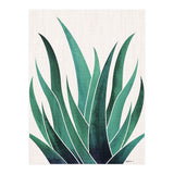 Desert Agave (Print Only) thumbnail