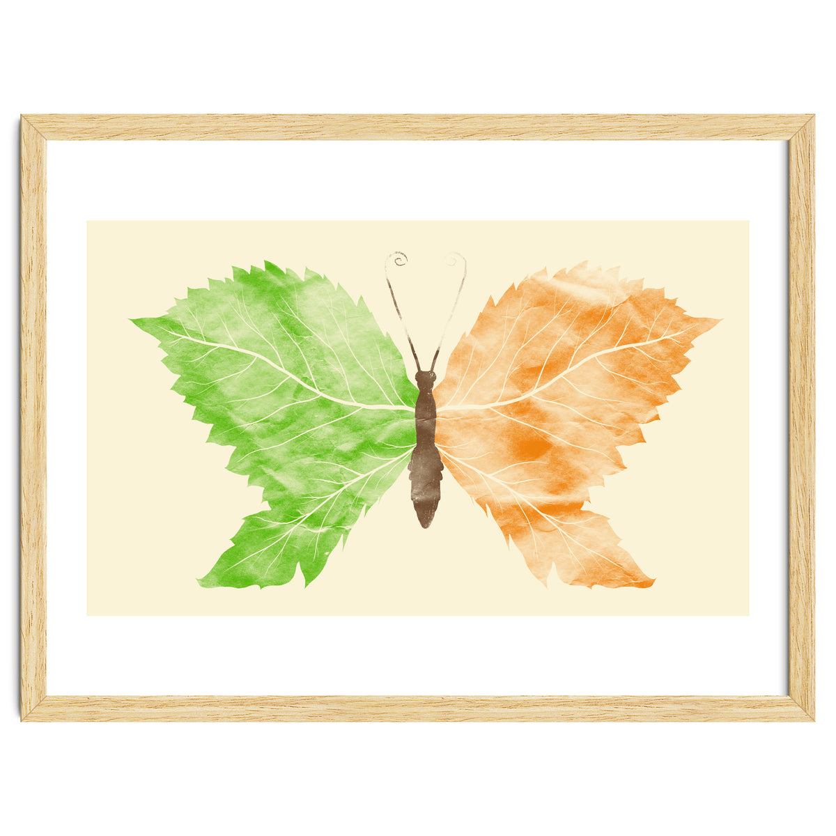 Seasons Change Time Flies