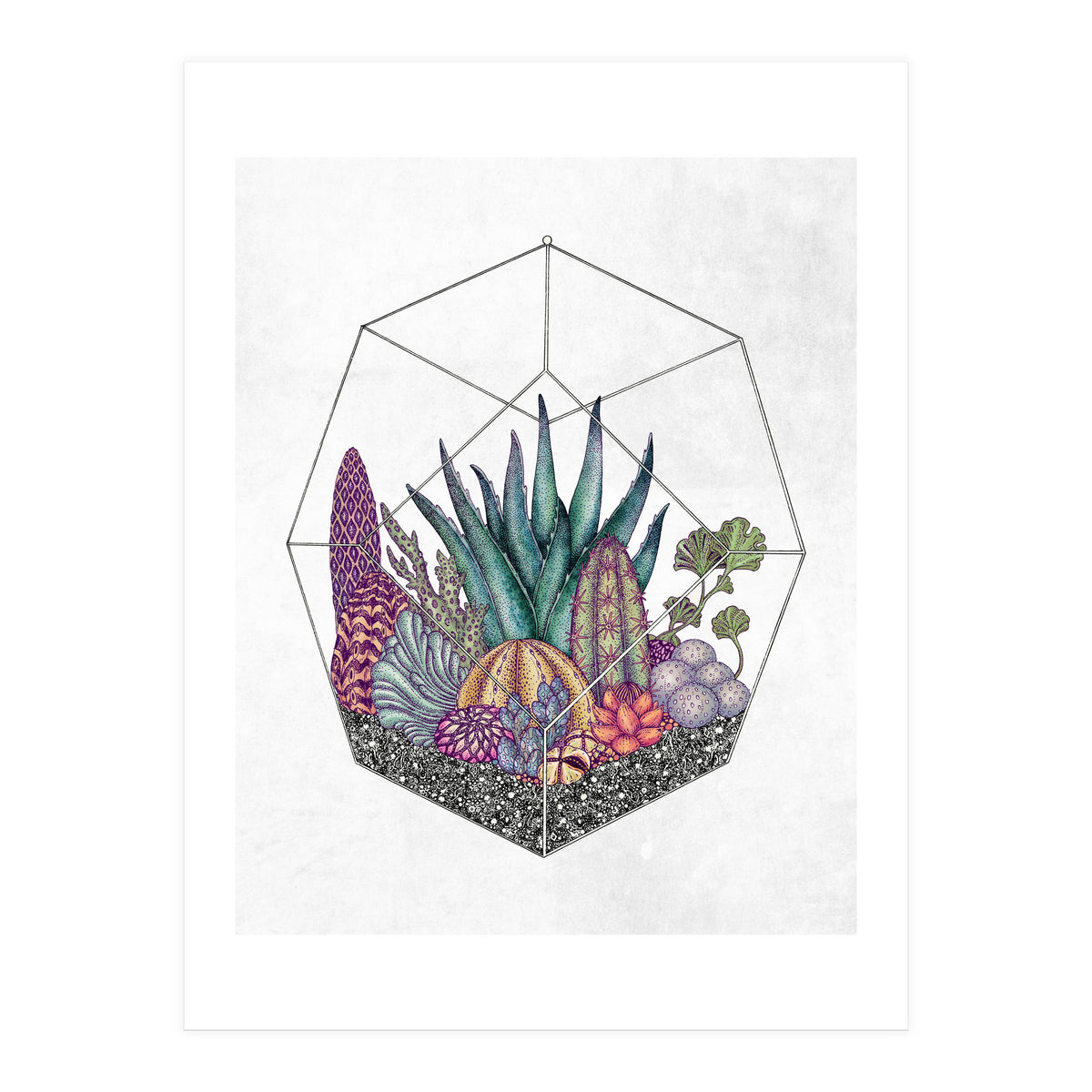 botanical geometria (Print Only)