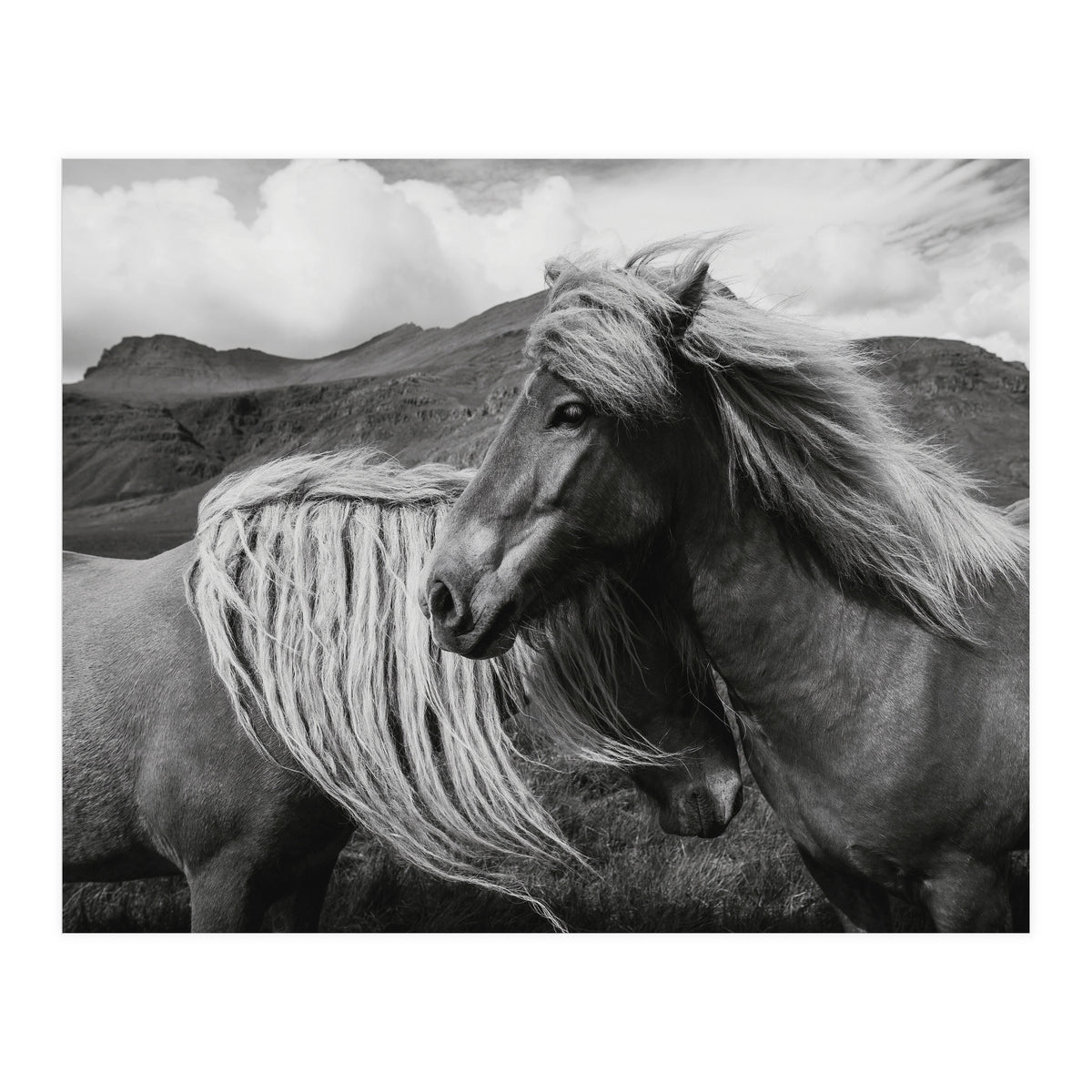 Horses In The Sky (Print Only)