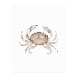 Crab (Print Only) thumbnail