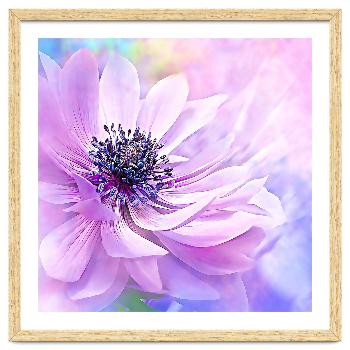 Wispy Purple Anemone