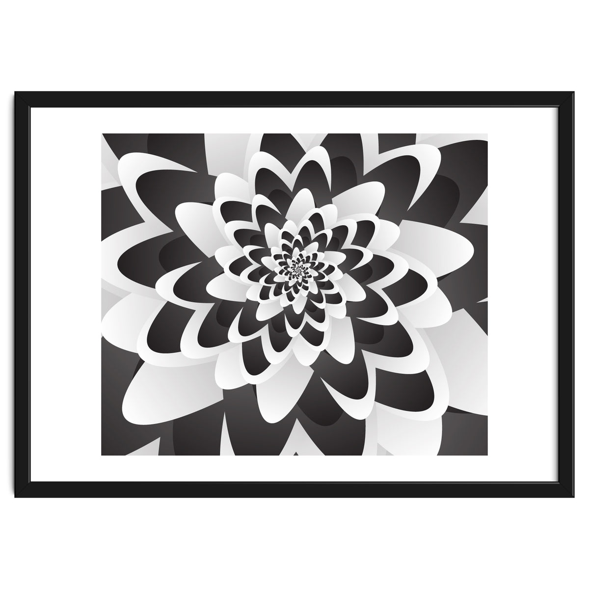 Mono Chrome Flower Spiral