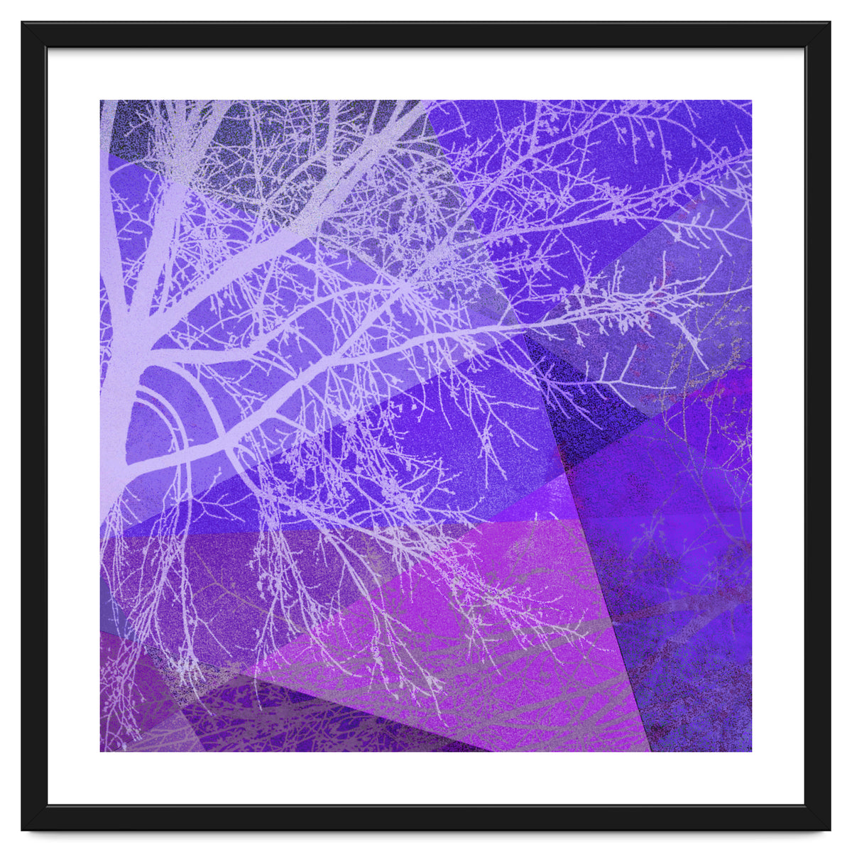 P19-D2 Trees and Triangles