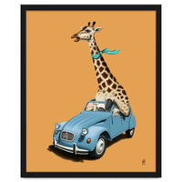 Riding High Colour