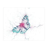 Peacock Butterfly (Print Only) thumbnail
