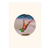Bird Collage I (Print Only) thumbnail