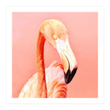 Pink Paradise (Print Only) thumbnail