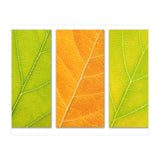 Autumn Leaves (Print Only) thumbnail