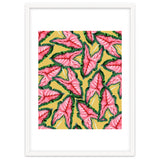 Caladium, Botanical Tropical Nature Plants, Vintage Bohemian Exotic Blush Leaves thumbnail