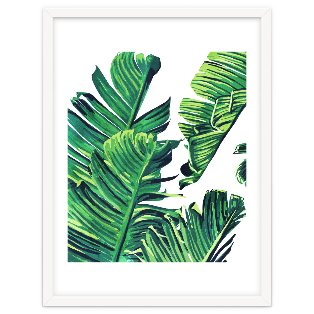 Banana Tree Leaves