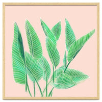 Modern Hand Painted Tropical Green Watercolor Leaf Bird Of Paradise On Pastel Pink