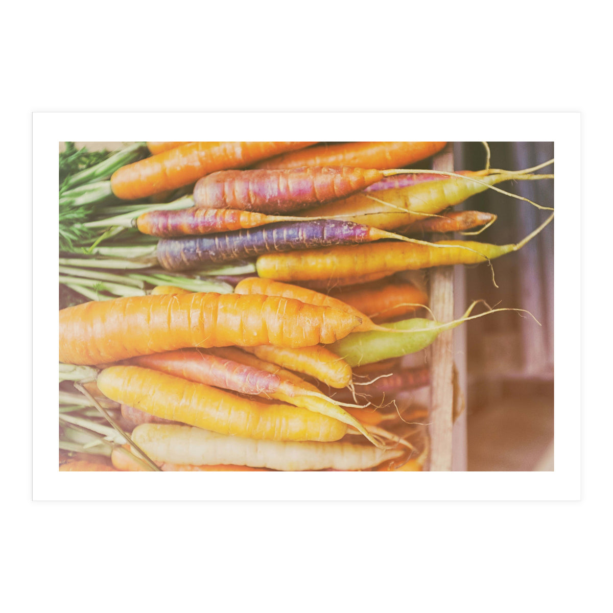 Carrots (Print Only)