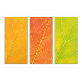 Autumn Leaves (Print Only) thumbnail