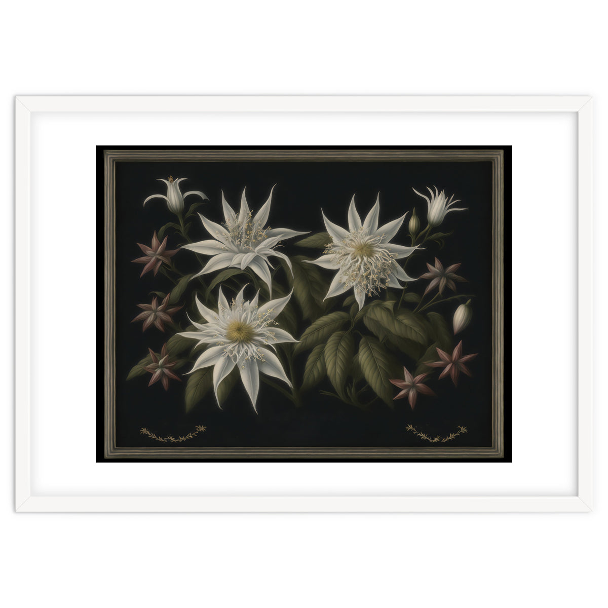 Edelweiss Vintage Illustration