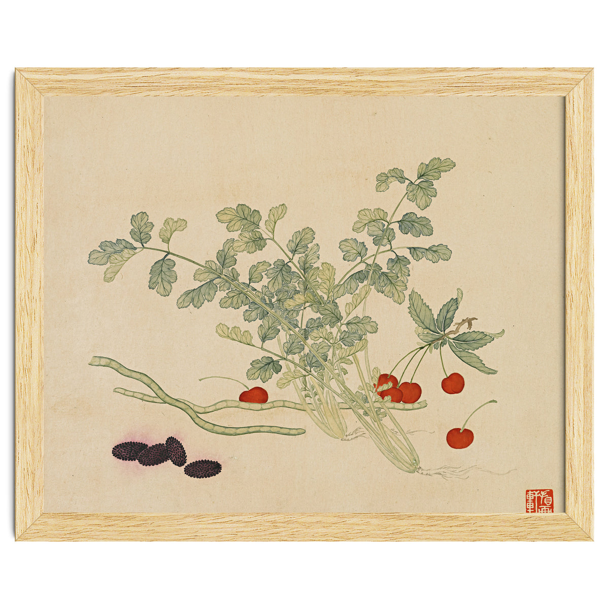 Wang Chengyu~flowers And Vegetables, Vegetables, Fruits, Beans, Red Beans, Cherries, Celery