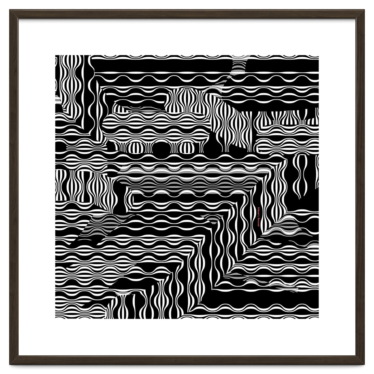 BLACK AND WHITE EXOTIC