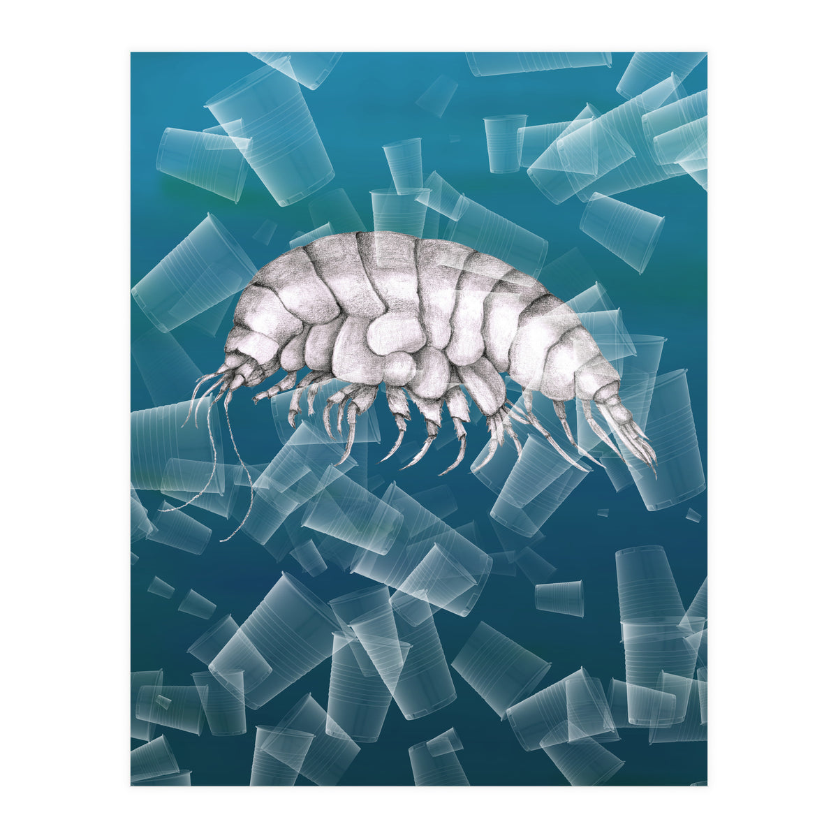 Eurythenes Plasticus (Print Only)