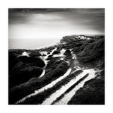 coastal path (Print Only) thumbnail