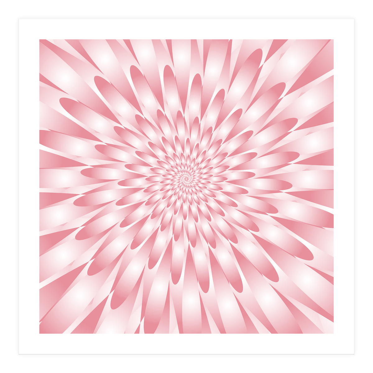Spiral Pink Flower  (Print Only)