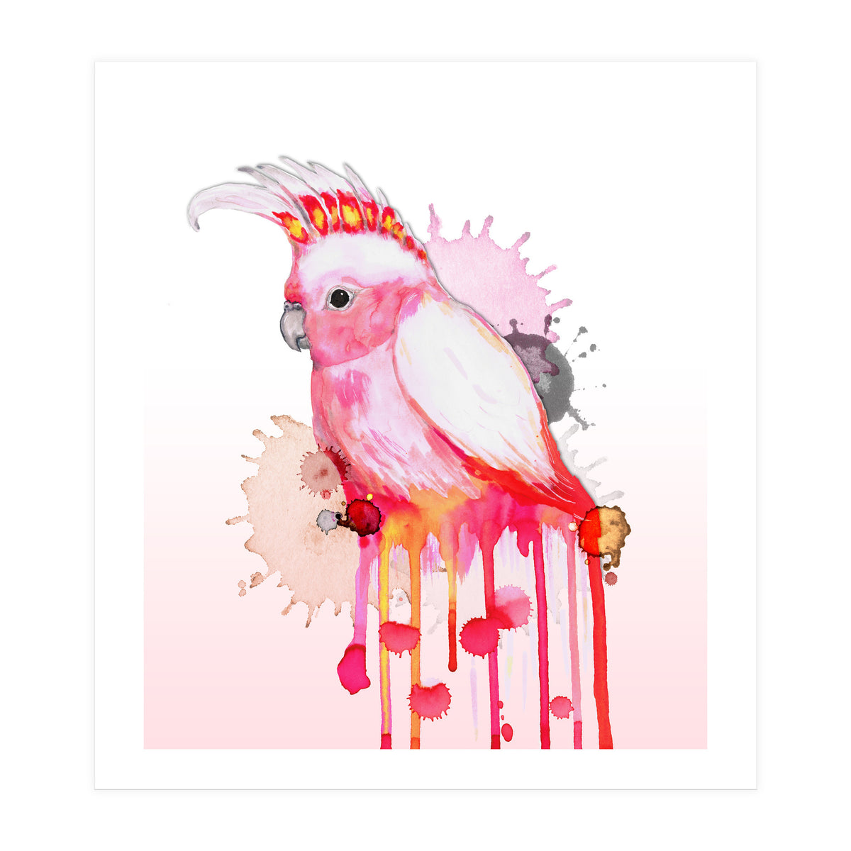 Major Mitchell's cockatoo (Print Only)