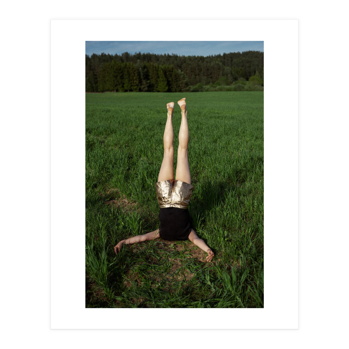 Gravity (Print Only)