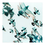Rise (Print Only) thumbnail