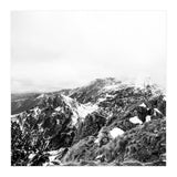 46 (Print Only) thumbnail