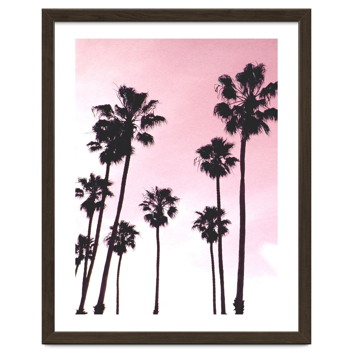 Palms & Sunset