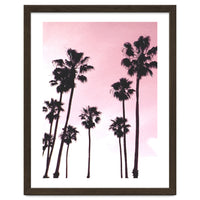 Palms & Sunset