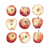 Apples (Print Only) thumbnail