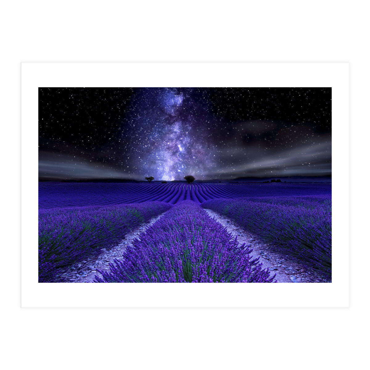 Under The Stars (Print Only)