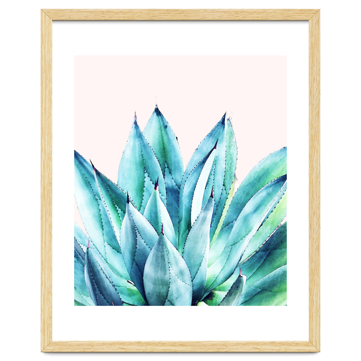 Agave Vibe