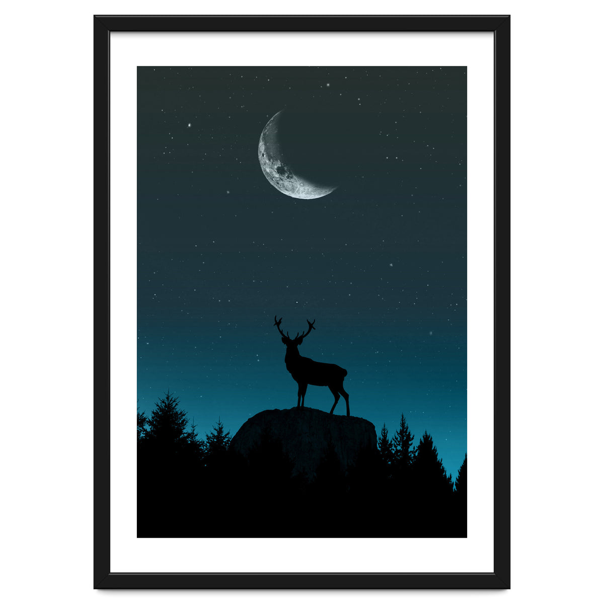 Wild Nature - Nocturne