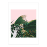 Palm Love (Print Only) thumbnail