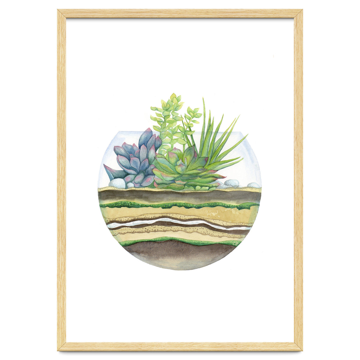A Little Green Terrarium
