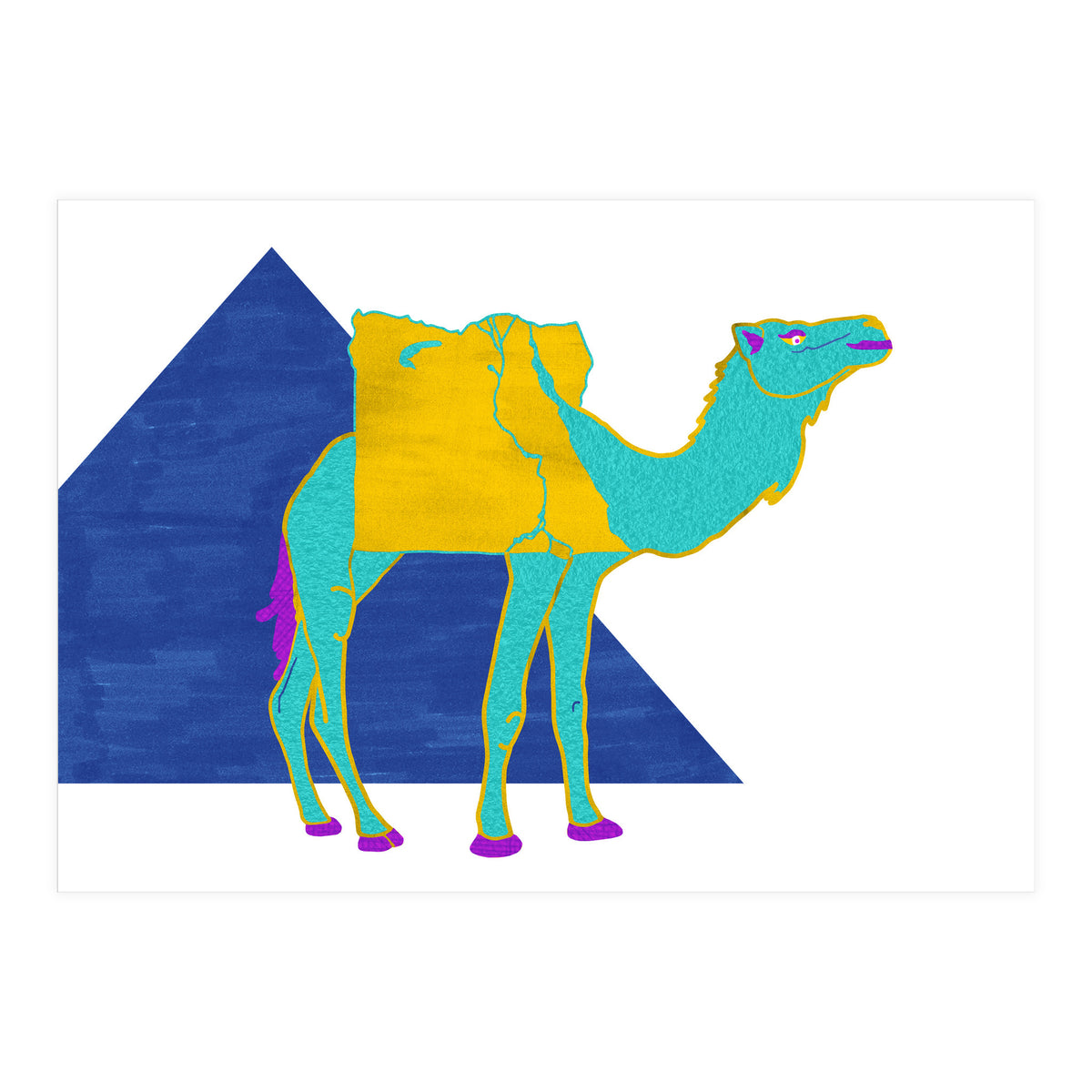 Egyptian Dromedary (Print Only)