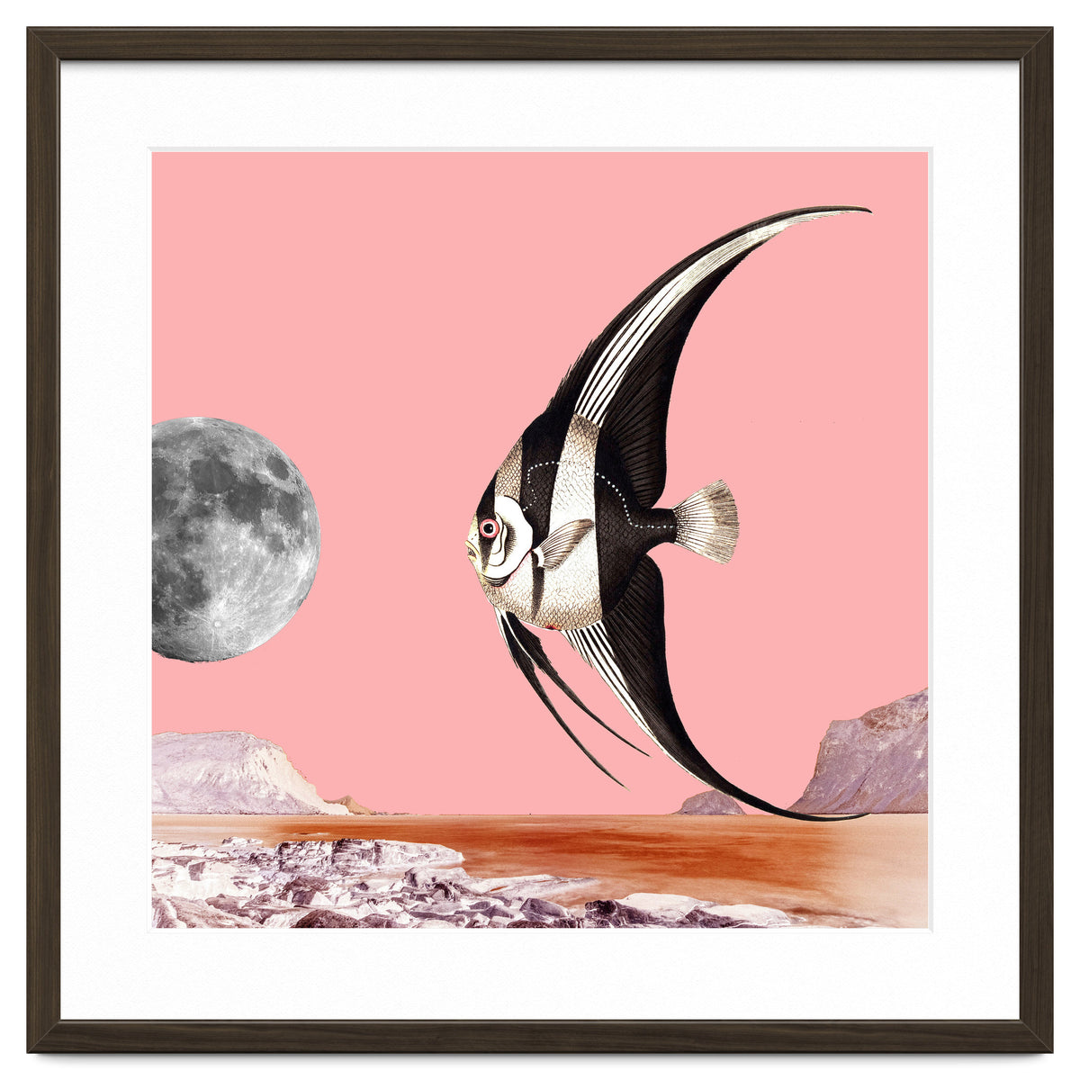 Plenty Of Fish In The Sea Pink